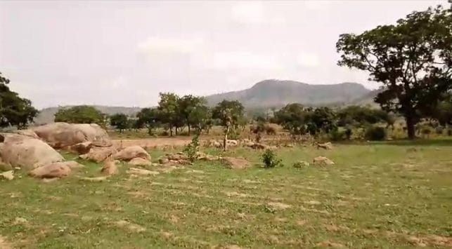 LAND FOR SALE IN ABUJA: STRATEGIC 5-HECTARE LAND FOR ESTATE DEVELOPMENT IN NEW JIKOKO LAYOUT