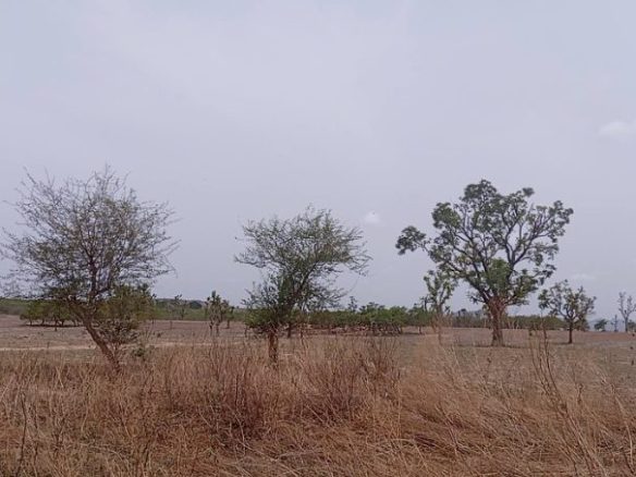 230 Hectares of Prime Multi-Purpose Land for Sale in Zuba, Abuja (AGIS Certified)