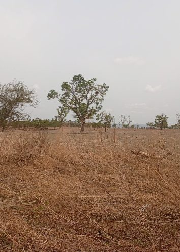 230 Hectares of Prime Multi-Purpose Land for Sale in Zuba, Abuja (AGIS Certified)