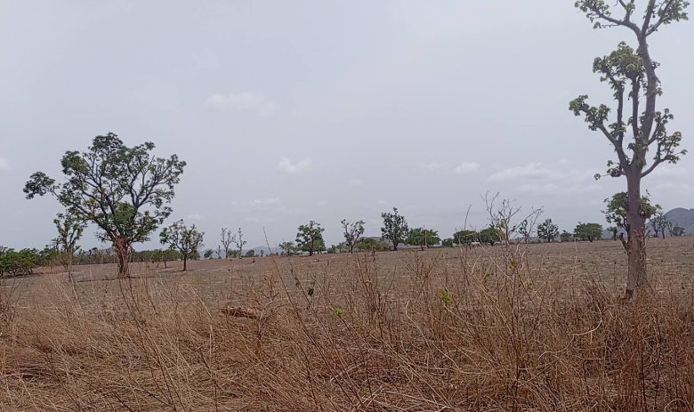 230 Hectares of Prime Multi-Purpose Land for Sale in Zuba, Abuja (AGIS Certified)