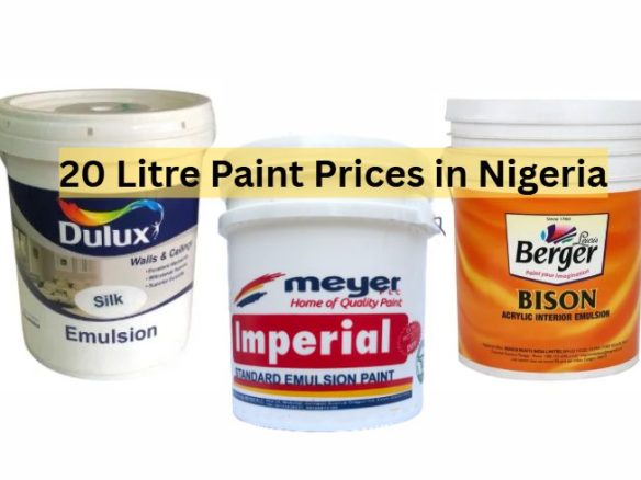 20 Litre Paint Price in Nigeria