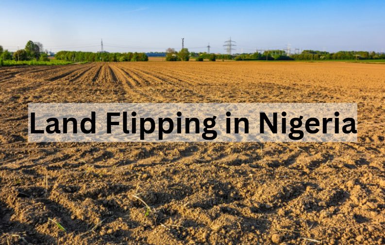 Land Flipping in Nigeria