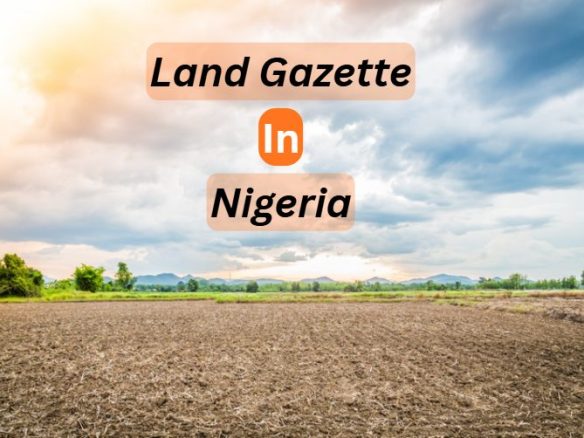 Gazette in Nigerian Real Estate