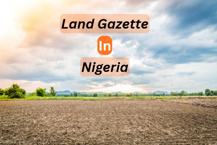 Gazette in Nigerian Real Estate