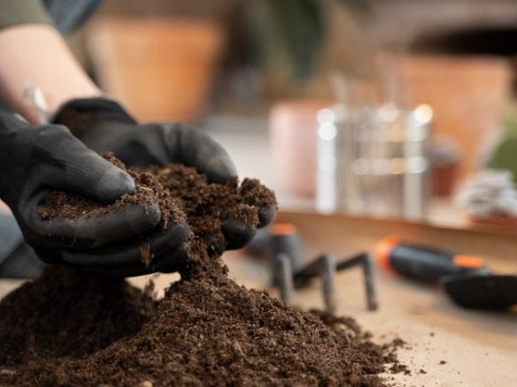 Should You Get a Soil Test Before Buying Land