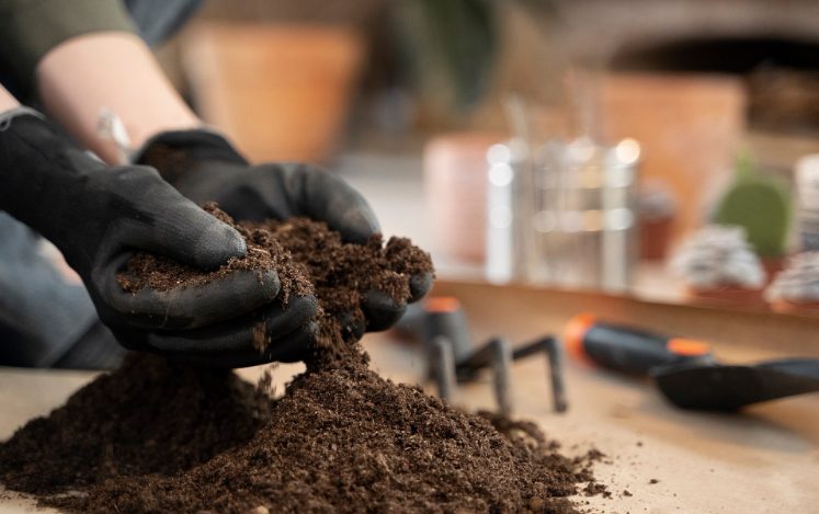 Should You Get a Soil Test Before Buying Land